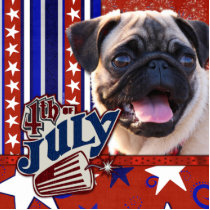 July 4th Firecracker - Pug Photo Sculpture