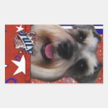 July 4th Firecracker - Schnauzer Sticker