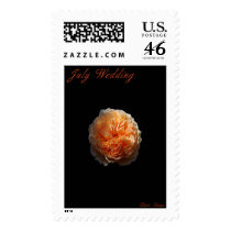 July Wedding Orange Rose Postage stamps