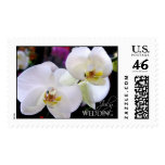 July wedding orchids Wedding Postage