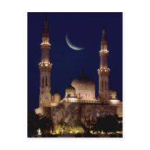 Jumeirah Mosque Postcard