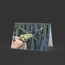 Jump - green frog Greeting card cards