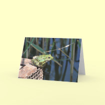 Jump - green frog Greeting card