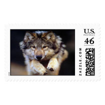 jump postage