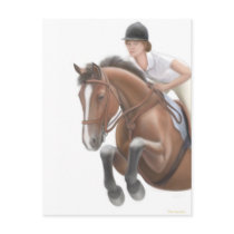 Jumper Horse Postcard