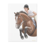 Jumper Horse Postcard
