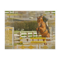 Jumper Horse Show Postcard