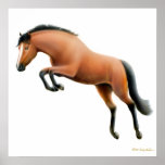 Jumping Bay Horse Poster posters