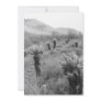 Jumping Cholla Cactus Invitation