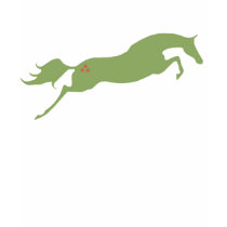 Jumping Christmas Horse t-shirts
