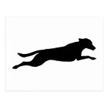 Jumping Dog Silhouette Post Card