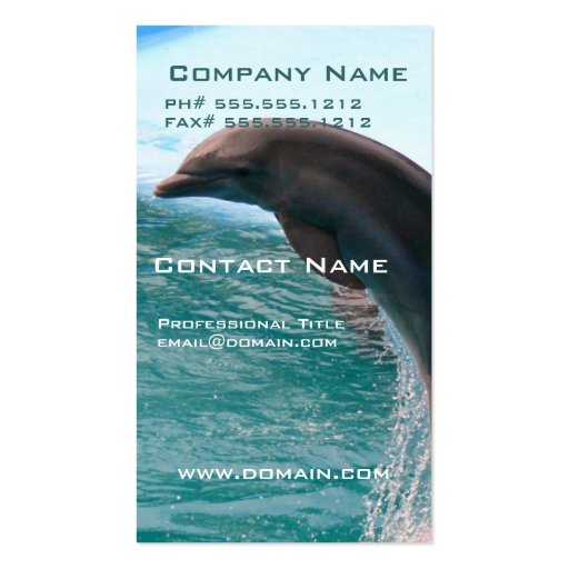 Jumping Dolphin Business Card (front side)