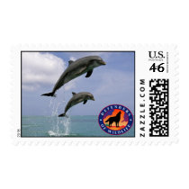 Jumping Dolphins postage