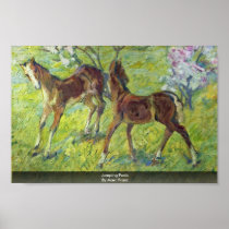 Jumping Foals By Marc Franz Poster