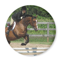 Jumping Horse Magnet