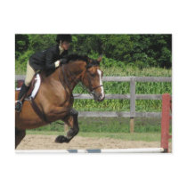Jumping Horse Postcard