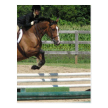 Jumping Horse Postcard