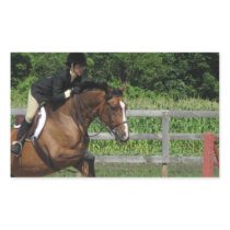 Jumping Horse Sticker