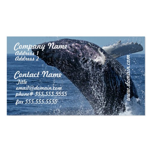 Jumping Humpback Whale Business Cards