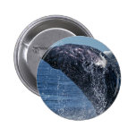 Jumping Humpback Whale Button