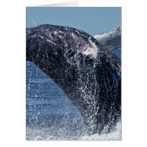 Jumping Humpback Whale Greeting Cards