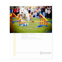 Jumping Hurdle Dog Post Card