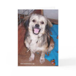 Jumping Jack Flash Greeting Card