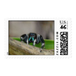 Jumping Jack postage