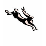 Jumping Jack Rabbit Tee Shirt