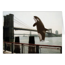 Jumping the Brooklyn Bridge Card