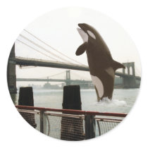 Jumping the Brooklyn Bridge Sticker