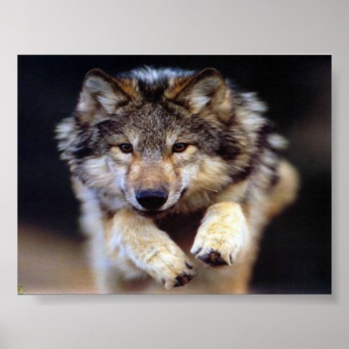 Jumping Wolf print
