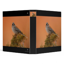junco 3 ring binders