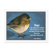 Junco BIRD zu sagen, postkarten by joyart Junco BIRD zu sagen, postkarten