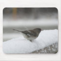 Junco Mousepad mousepad