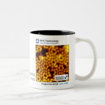 June 2006 - RHK Technology: Image of the Month Mug