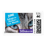 JUNE - Adopt-a-Rescued-Cat Month Stamps