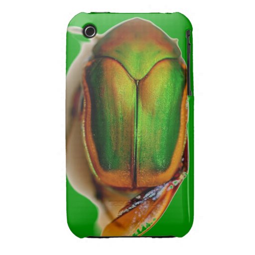 June Bug iPhone 4 Case Zazzle
