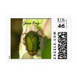 June Bug Postage