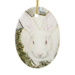 June Bunny Ornament