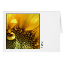June cards by ickledink June cards