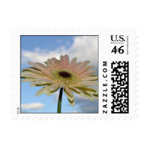 June Gerbera Flower in the Sky postage