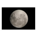 June Moon posters