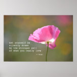 June Poppy Posters