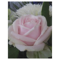 june rose letterhead