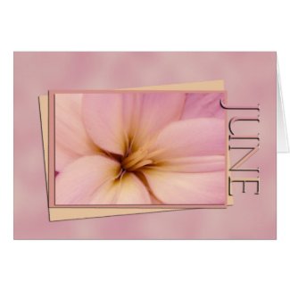 June Wedding or Special Occasion Cards card
