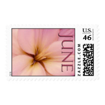 June Wedding Postage postage