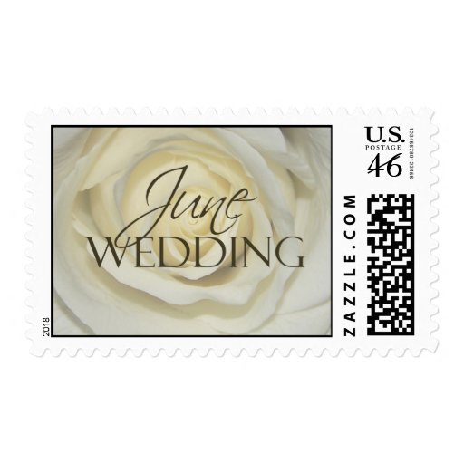 June Wedding Postage cream rose
