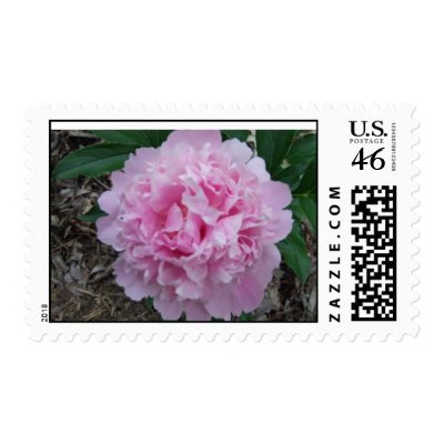 June Wedding Postage Stamps Pink Peony Flower RSVP