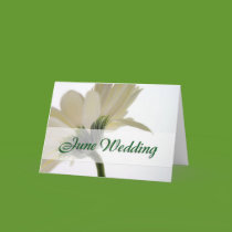 June Wedding Save the Date Card